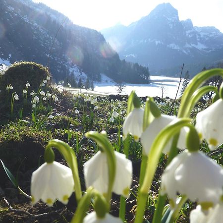 Berghotel Obersee Naefels Luaran gambar
