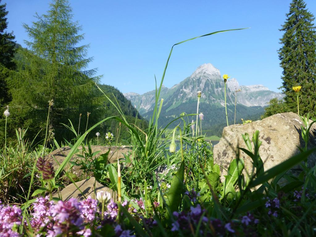 Berghotel Obersee Naefels Luaran gambar