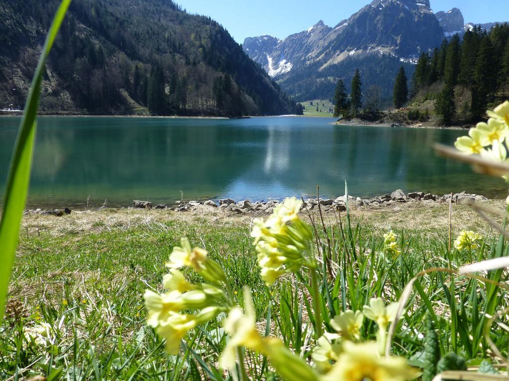 Berghotel Obersee Naefels Luaran gambar