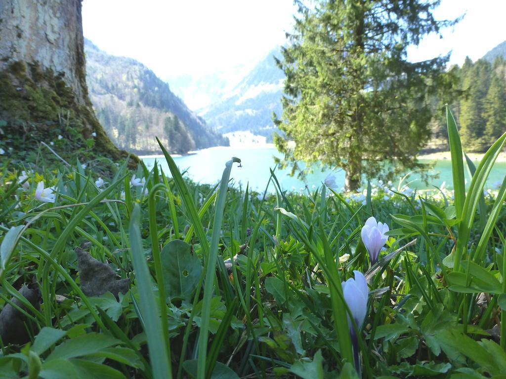 Berghotel Obersee Naefels Luaran gambar