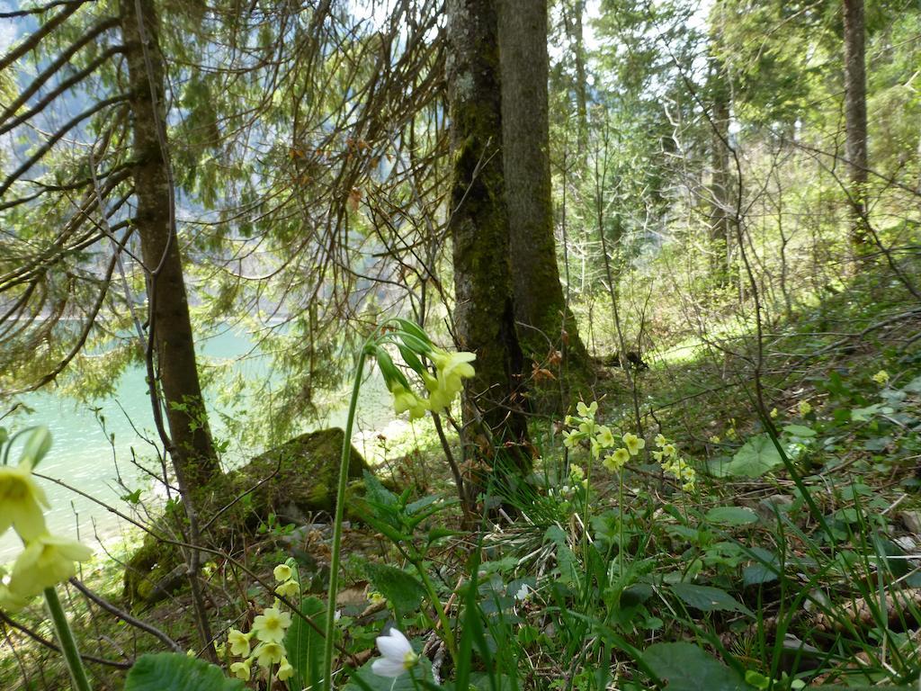 Berghotel Obersee Naefels Luaran gambar