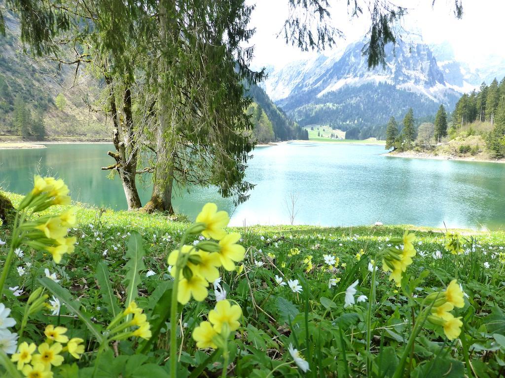 Berghotel Obersee Naefels Luaran gambar