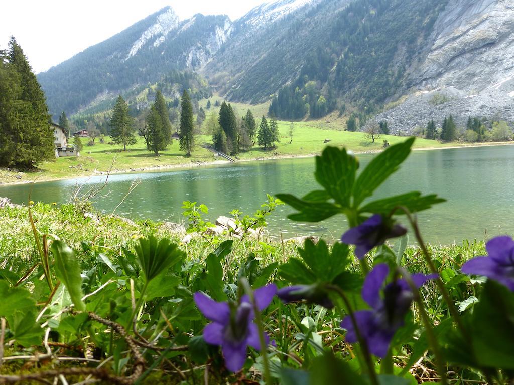 Berghotel Obersee Naefels Luaran gambar