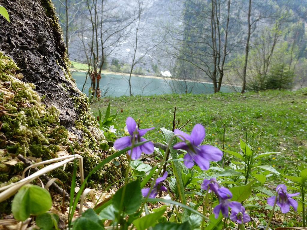 Berghotel Obersee Naefels Luaran gambar