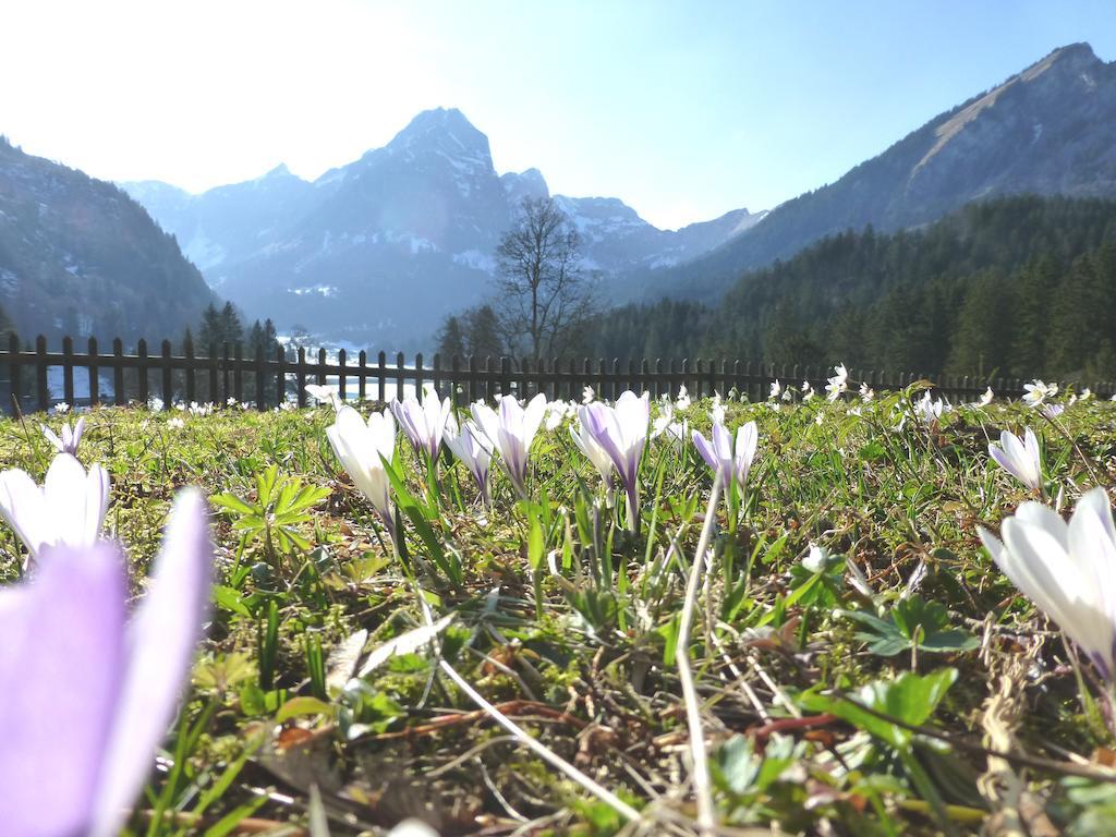 Berghotel Obersee Naefels Luaran gambar