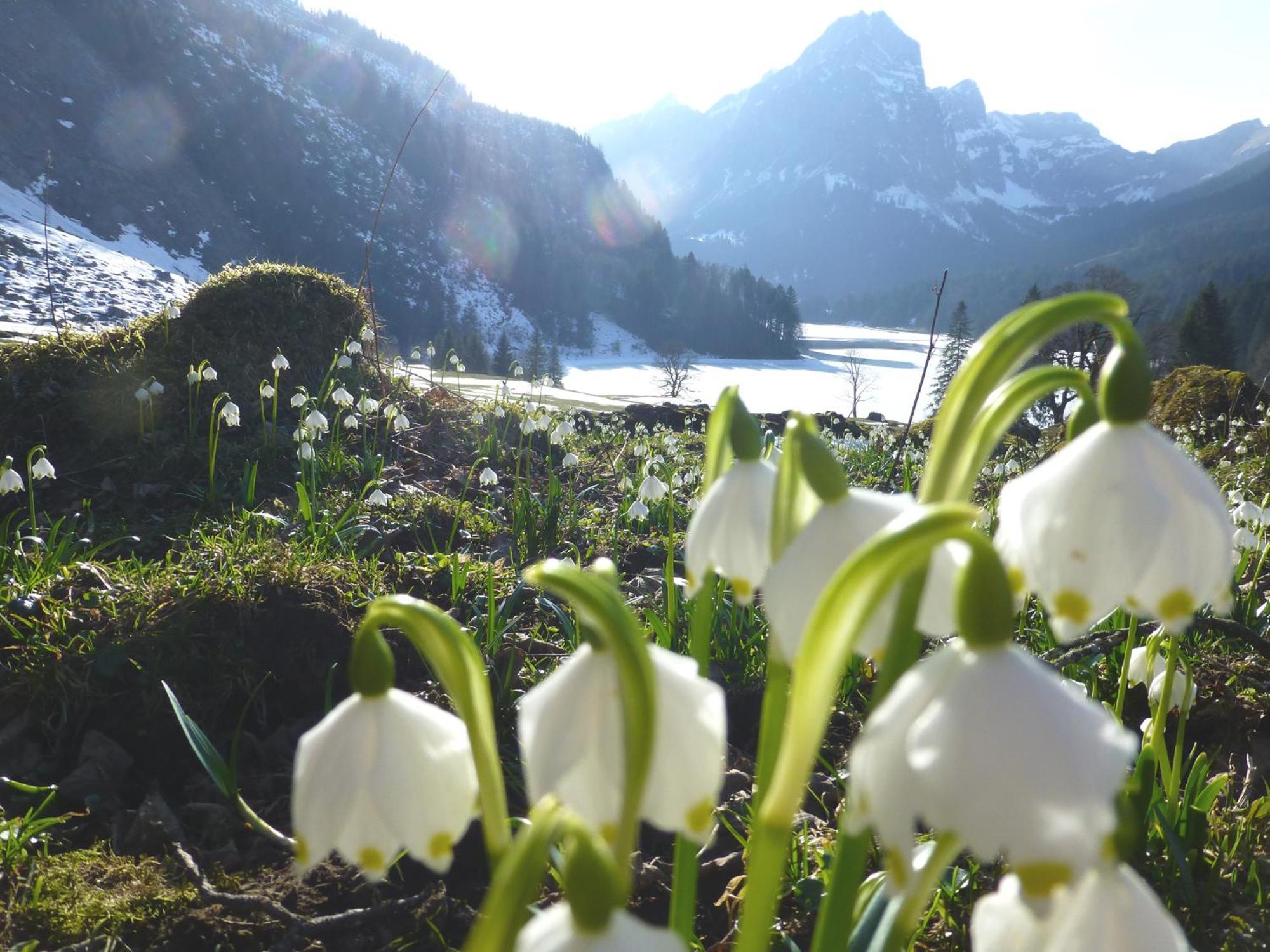 Berghotel Obersee Naefels Luaran gambar