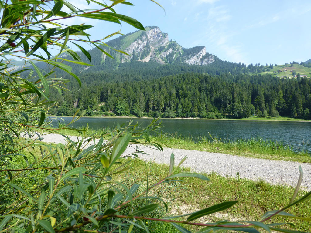Berghotel Obersee Naefels Luaran gambar