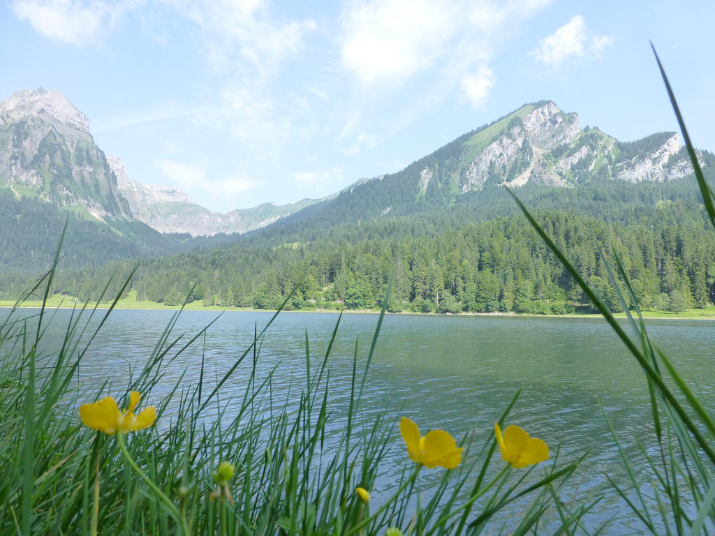 Berghotel Obersee Naefels Luaran gambar